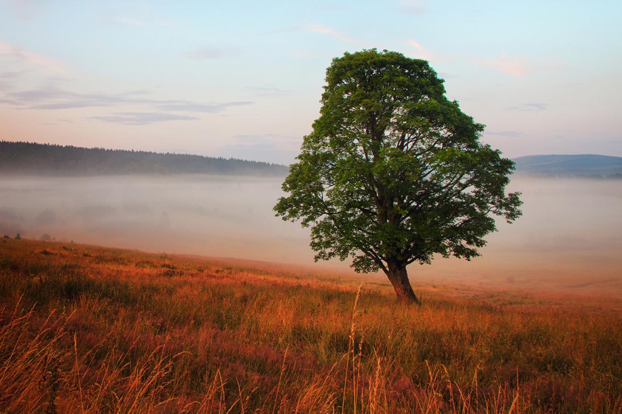 Statek česká lípa Myslovice Klatovy Exterior foto