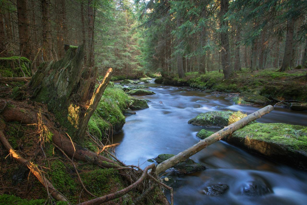 Statek česká lípa Myslovice Klatovy Exterior foto
